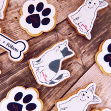 CAT-DOG-LOGO-BISCUITS