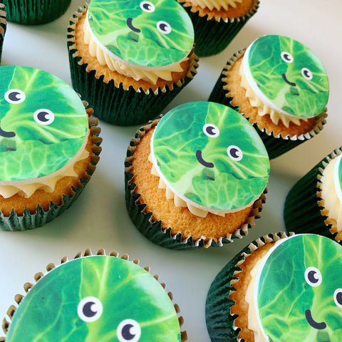 christmas sprouts cupcake box gift- uk delivery