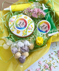 Easter Biscuit Decorating Kit
