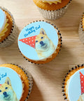 Dog birthday photo vanilla buttercream cupcakes showing dog in party hat. Delivered uk wide